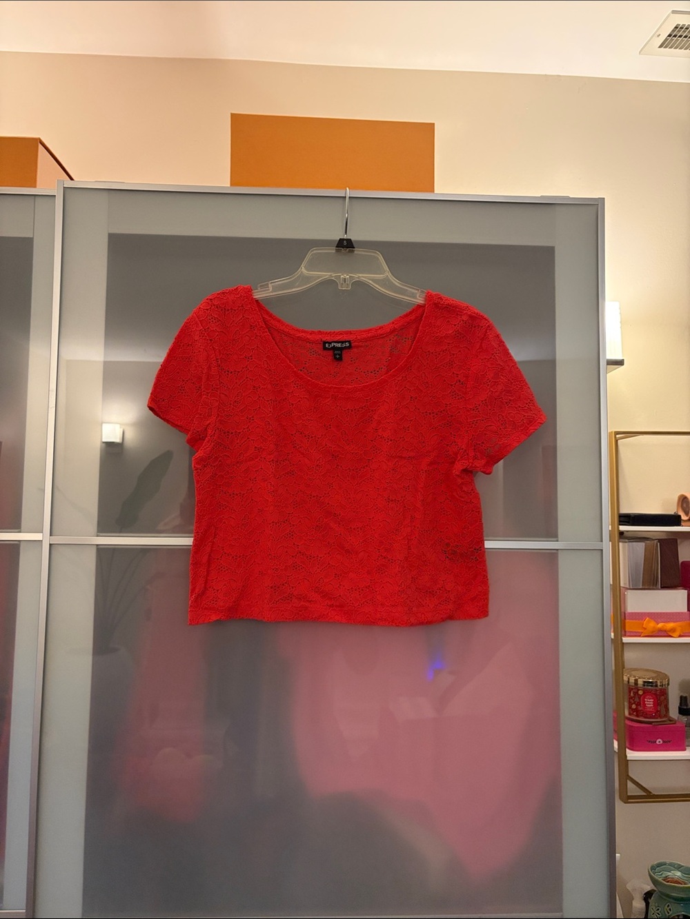 Express Coral Lace Crop Top